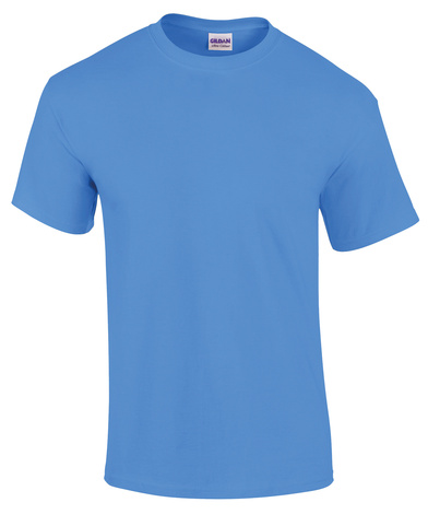 Ultra Cotton Adult T-shirt In Carolina Blue