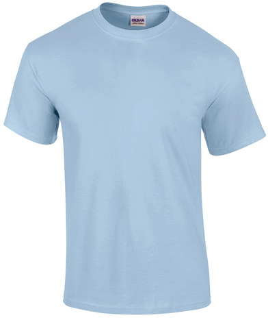 Ultra Cotton Adult T-shirt In Light Blue