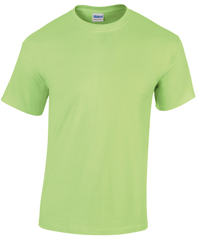 Heavy Cotton Adult T-shirt In Mint