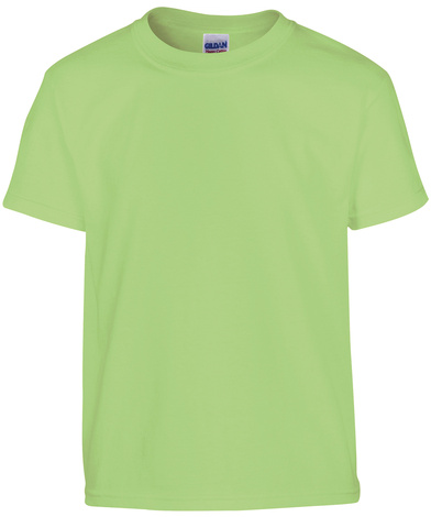 Heavy Cotton Youth T-shirt In Mint Green