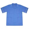 Metro Blue/White Trim