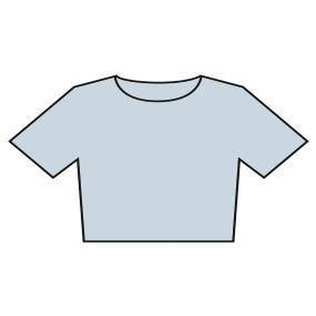 Womens Heavyweight Washed Cropped Tee