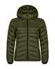Fog Green