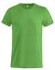 Apple Green