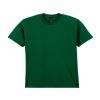 Fan Dark Green