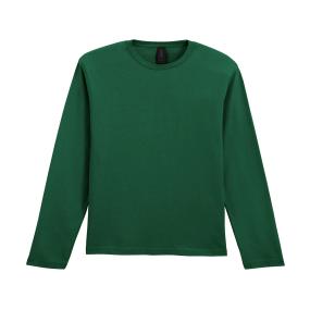 Softstyle Long Sleeve T-shirt