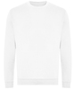 Arctic White
