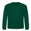 Rainforest Green