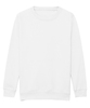 Arctic White