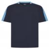 Navy/Sky