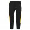 Black/Gold