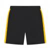 Black/Gold