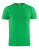 Fresh Green