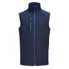 Navy/Cobalt