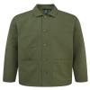 Stay Olive