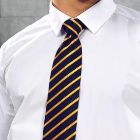 Sports Stripe Tie