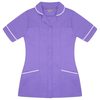 Purple/Lilac