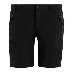 Prolite Stretch Shorts