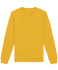 Spectra Yellow
