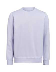 UM Crewneck Regular Fit OCS/RCS