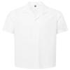 Solid White
