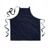 French Navy
